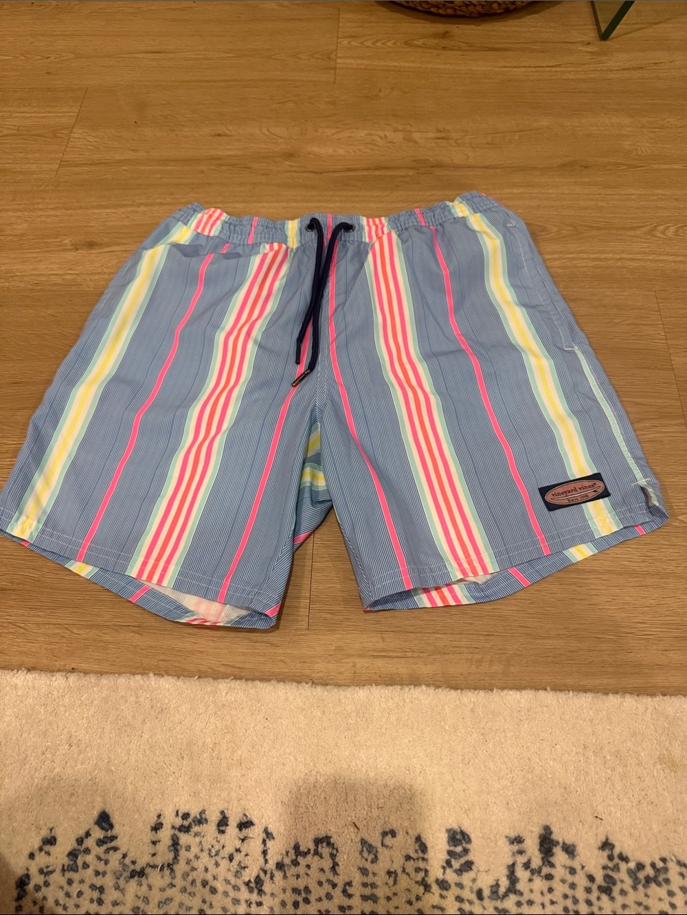 Men's Blue Stripe Swim Trunks with Multicolor Stripes